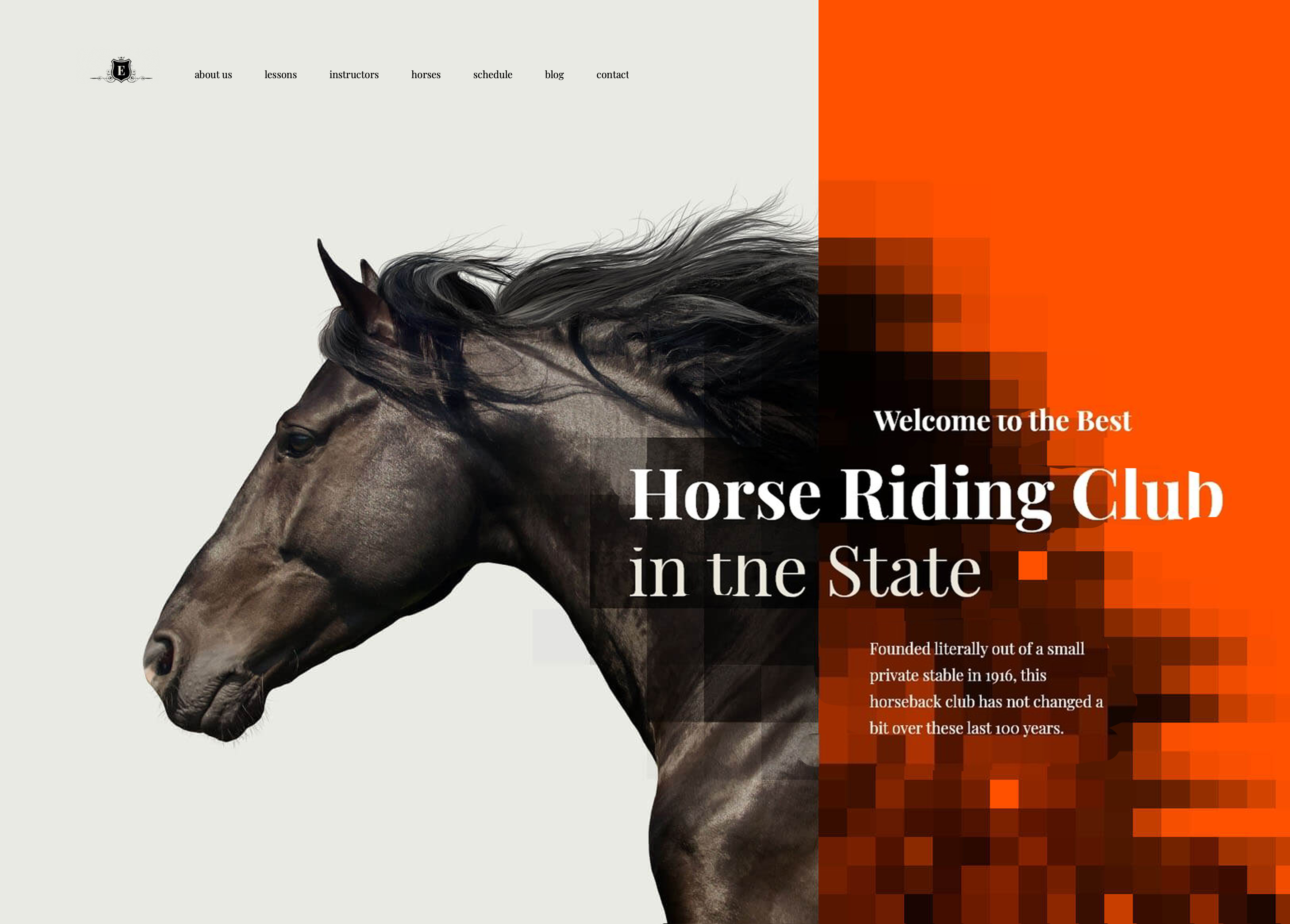 Equestrian Web Design